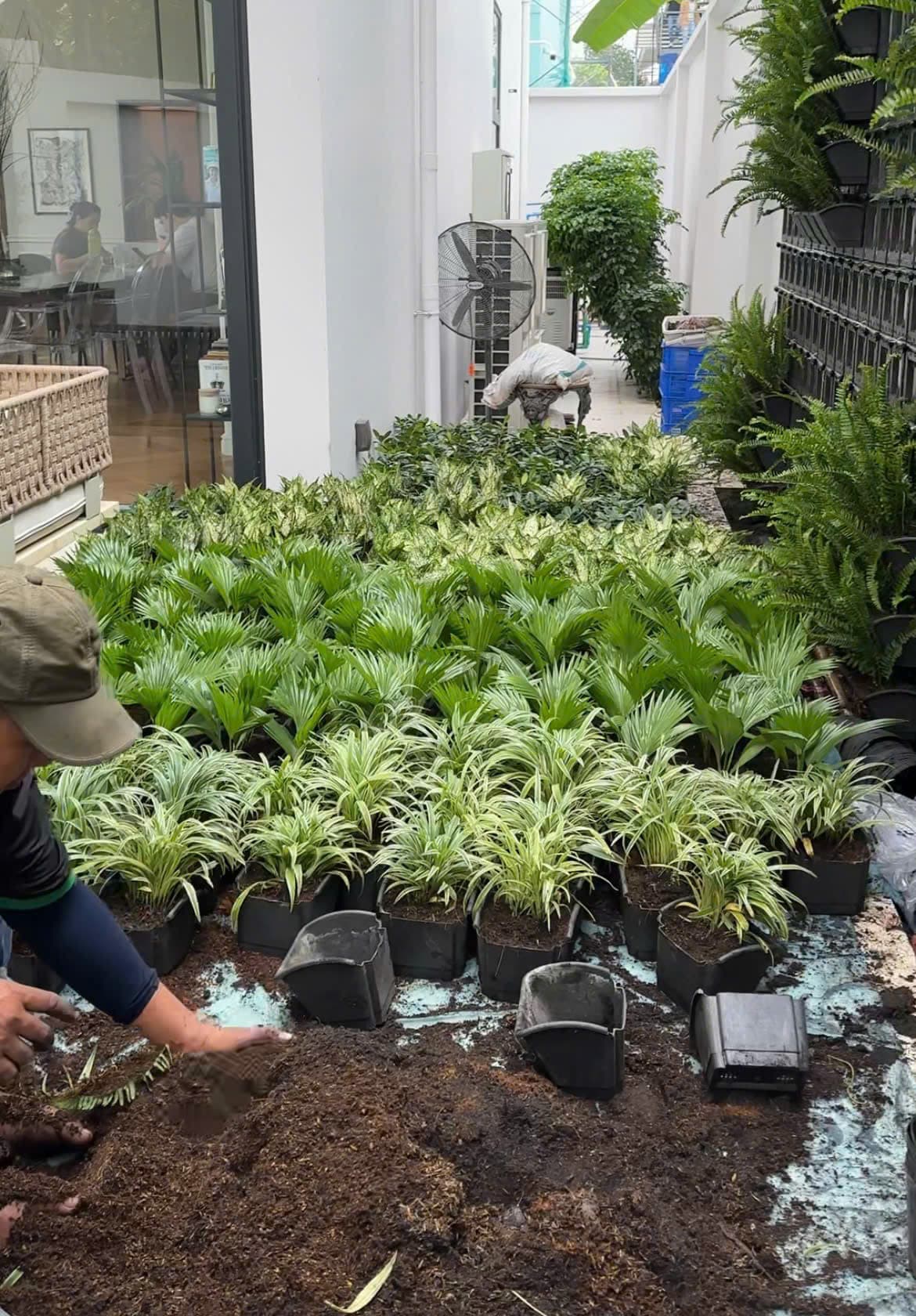 Hình Thiết kế - Thi công cảnh quan ngoại thất - sân vườn