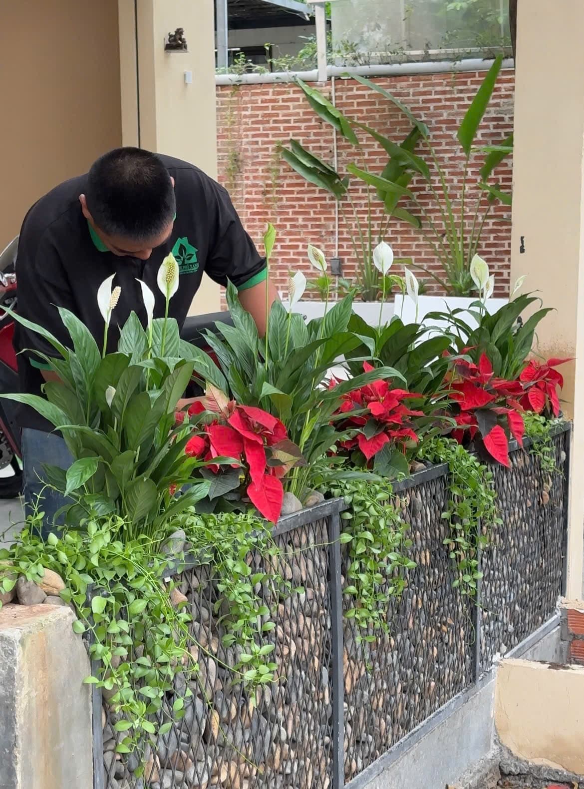 Hình Cắt tỉ - Dọn vườn