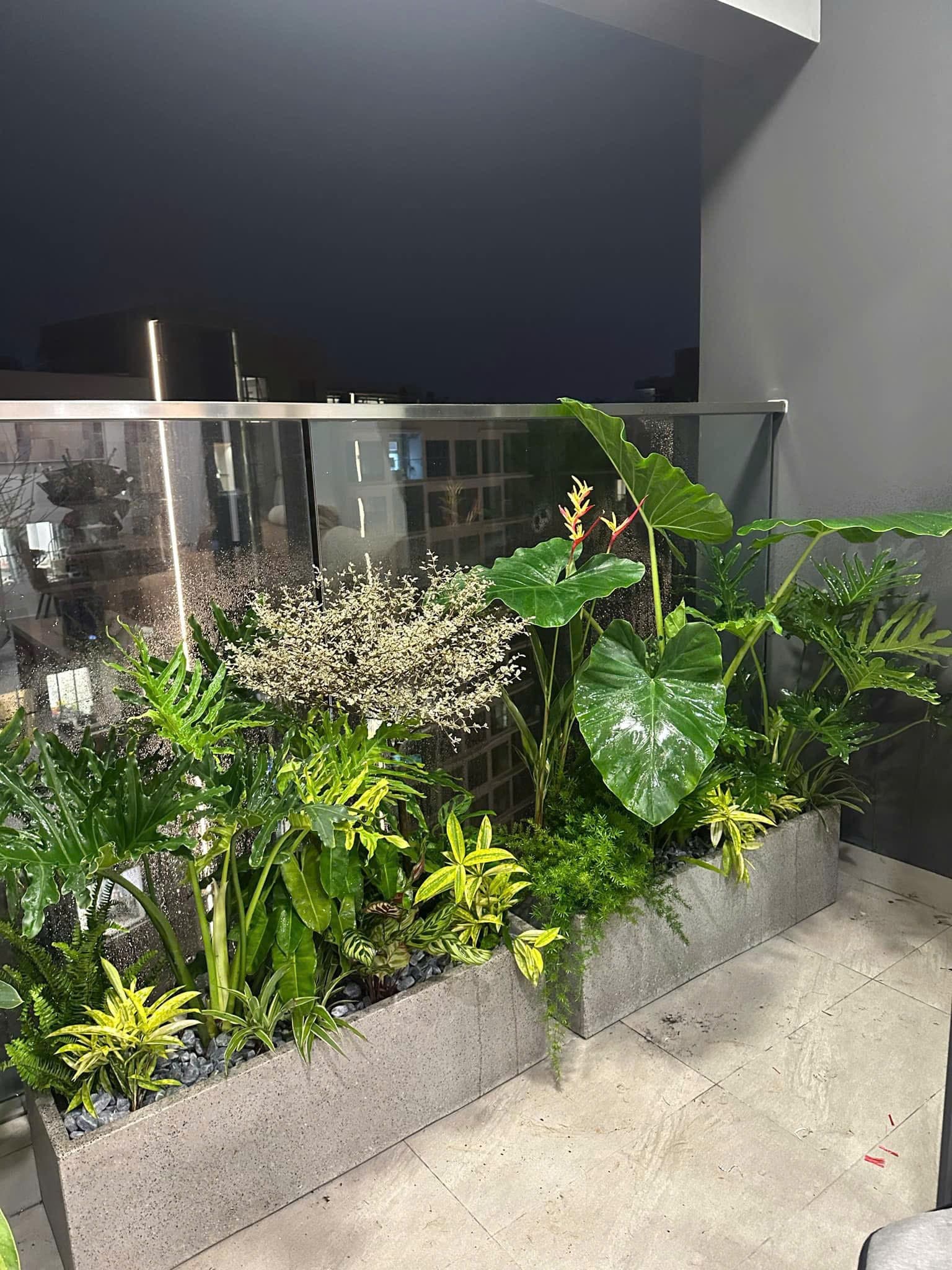 Hình Bảo dưỡng cây xanh - cảnh quan